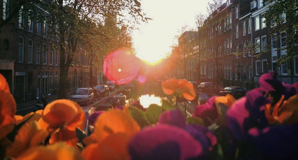 Morning in Amsterdam / by Masahiko Shoji / CC-BY 4.0 International